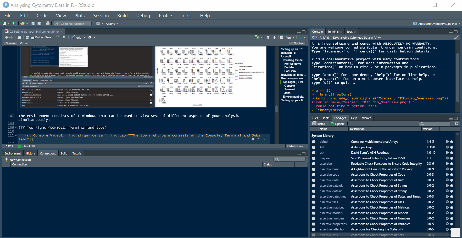 The top right pain consists of the Console, Terminal and Jobs tabs, echo = FALSE